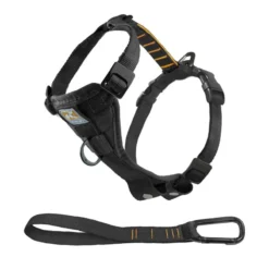 KURGO Tru-Fit Smart Dog Harness, Large