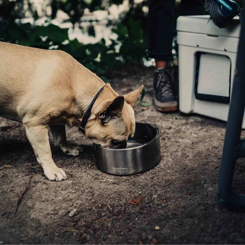 YETI Boomer™ 4 Stainless Steel Dog Bowl - Image 5
