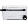 IGLOO 110 qt. Sunset Glide Cooler