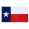 ANNIN FLAGMAKERS 12" x 18" Nylon Texas State Flag